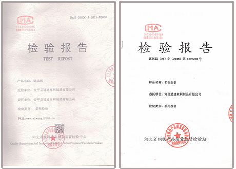 檢測報告